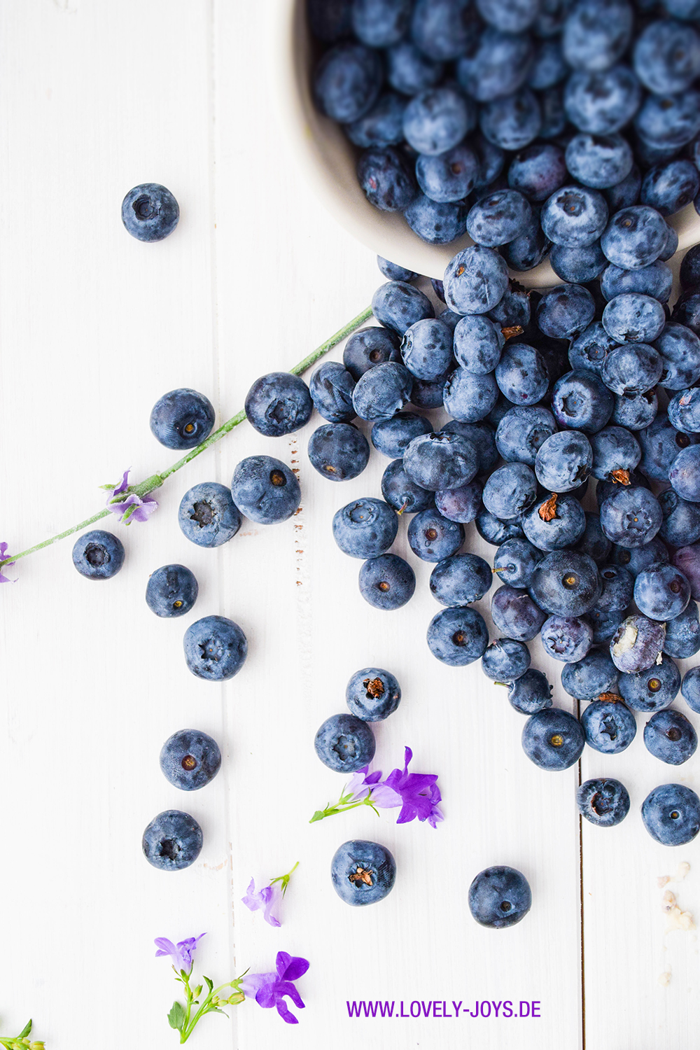 frische blaubeeren frische blaubeeren