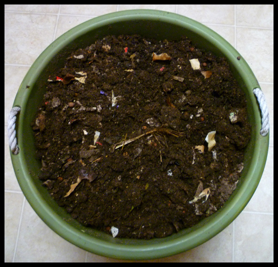 Patio of Pots DIY Composting Bin