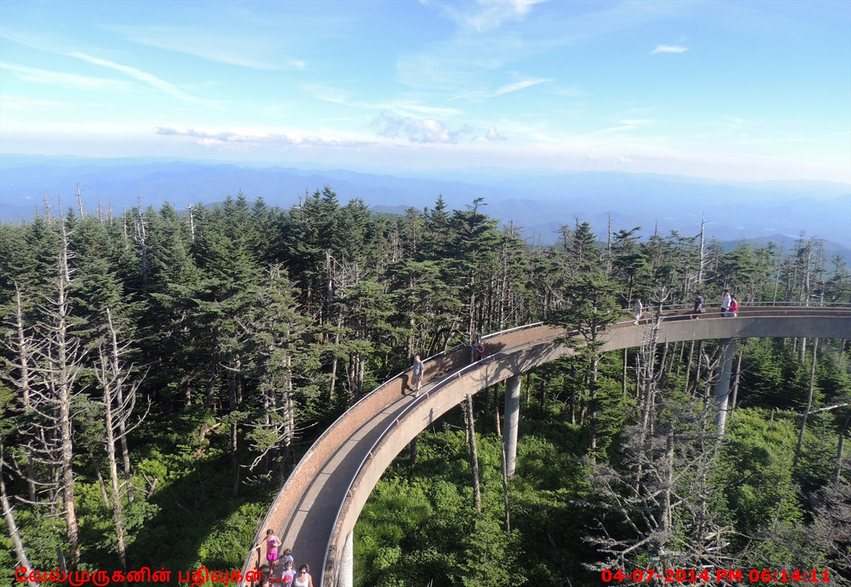 Clingmans Dome Trail - Exploring My Life