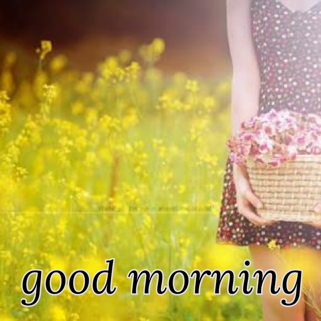 Top Good Morning Shayari images | गुड मॉर्निंग इमेज हिंदी