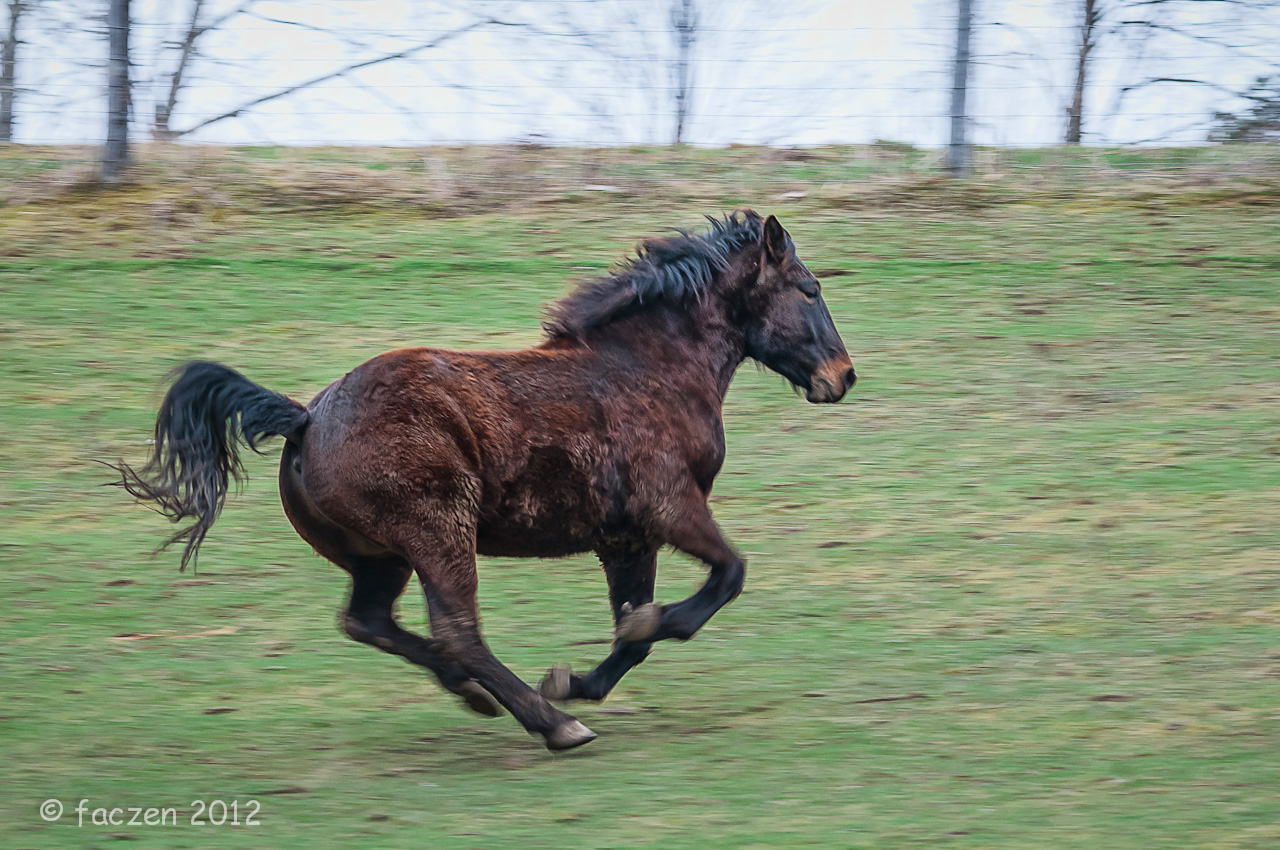 The FACzen Image Spinning Wheels and Traction