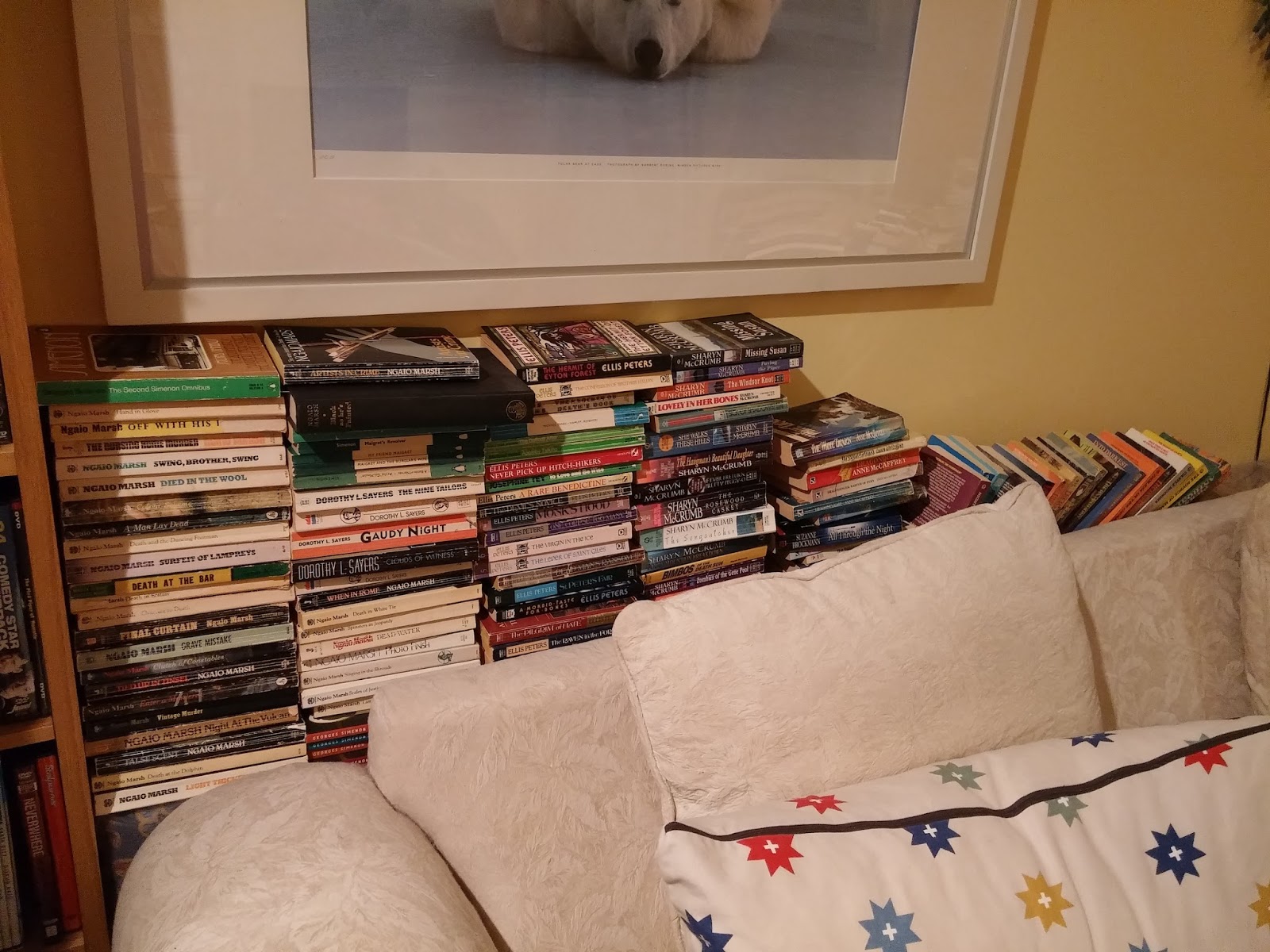 Big bookshelf cleanup and madness