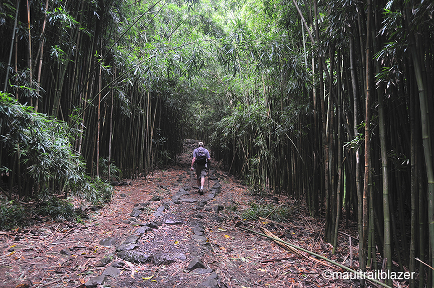 TRAILBLAZER HAWAII Liquid pot of gold at the end of Maui's Hana Highway
