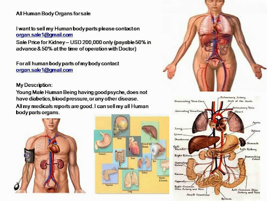 sale of organs sale of organs