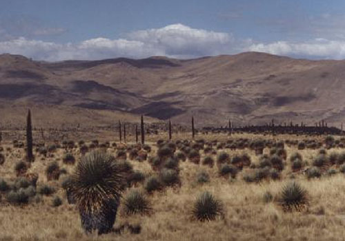 08 de Enero - Aniversario del Santuario Nacional de Calipuy (La Libertad)