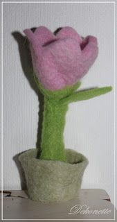 Espresso Pferdesportverband Weser Ems E V