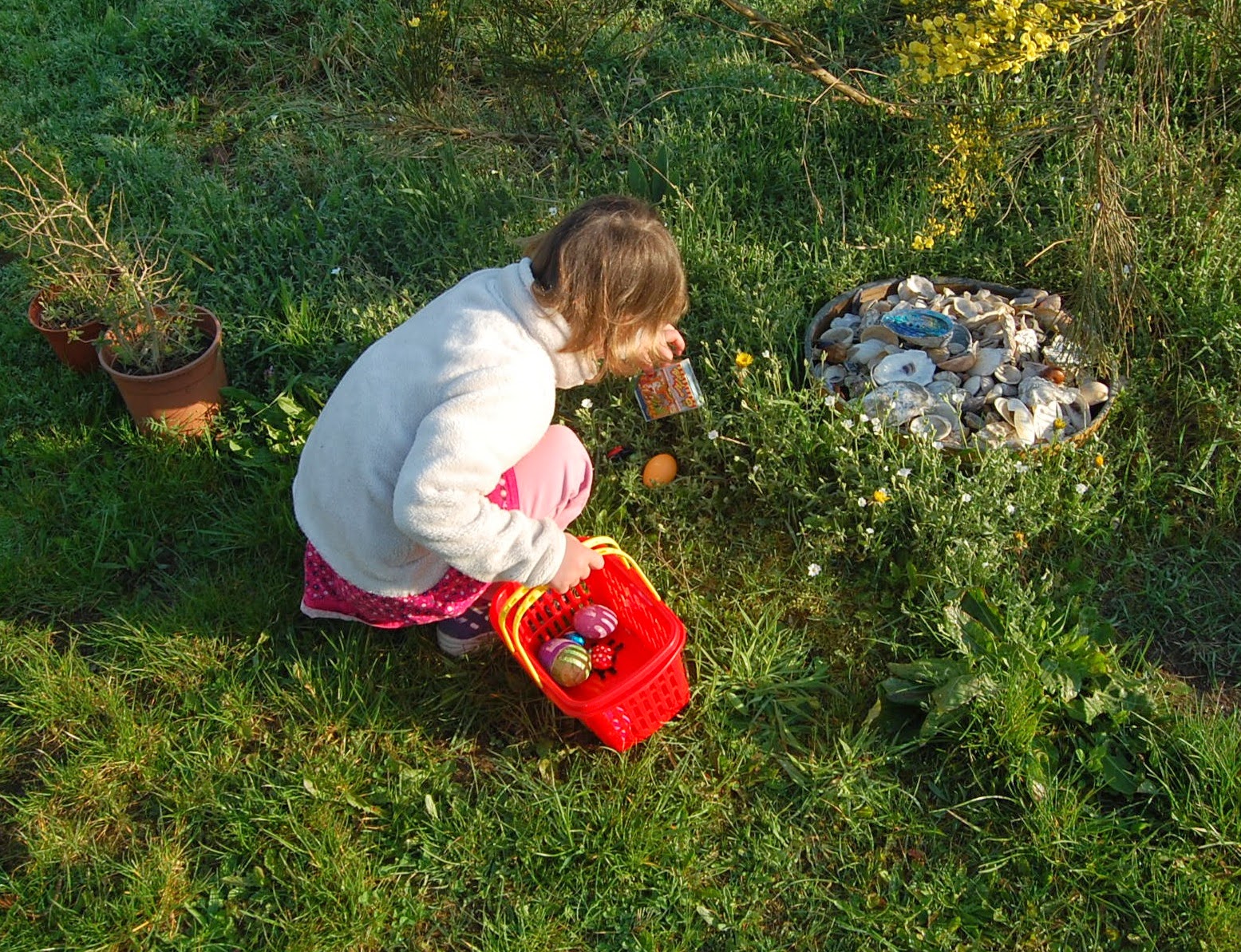 Schokohaar Geshoppt Buncage