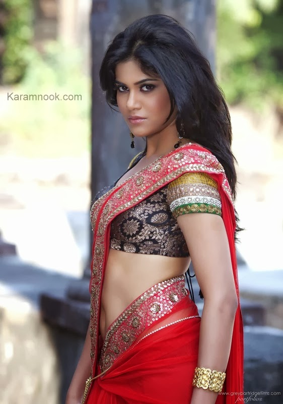 Aditi pohankar hot sexy cleavages navel saree show Jd wallpaper