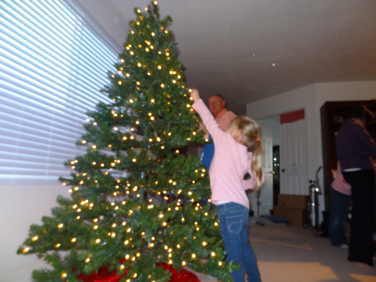 to the Krazy Kingdom Putting up the Christmas Tree