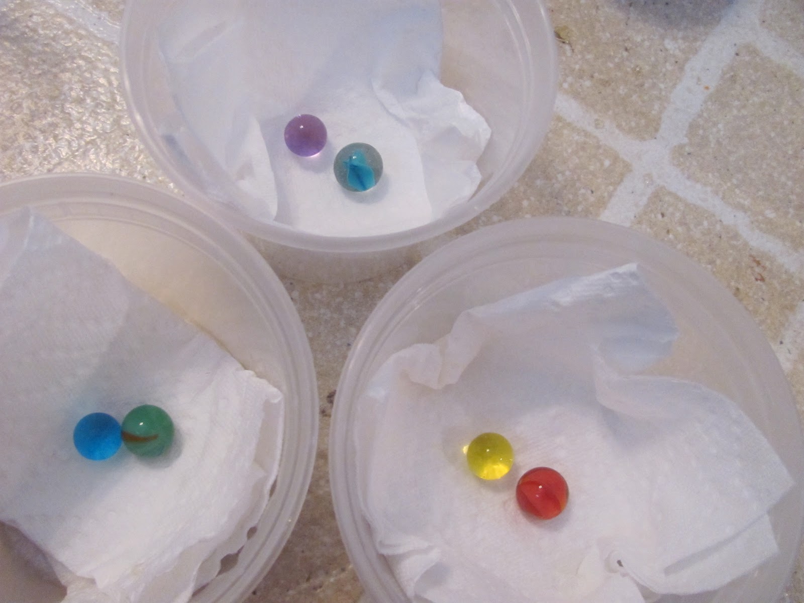 The Chocolate Muffin Tree Experiment Growing And Shrinking Water Beads