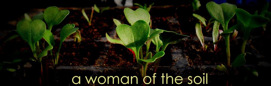 A Woman of the Soil