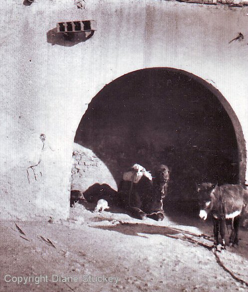 The Great 1953 Trek Photo Album 1