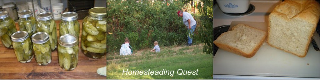 Homesteading Quest 