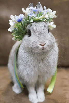 rabbit with flowers