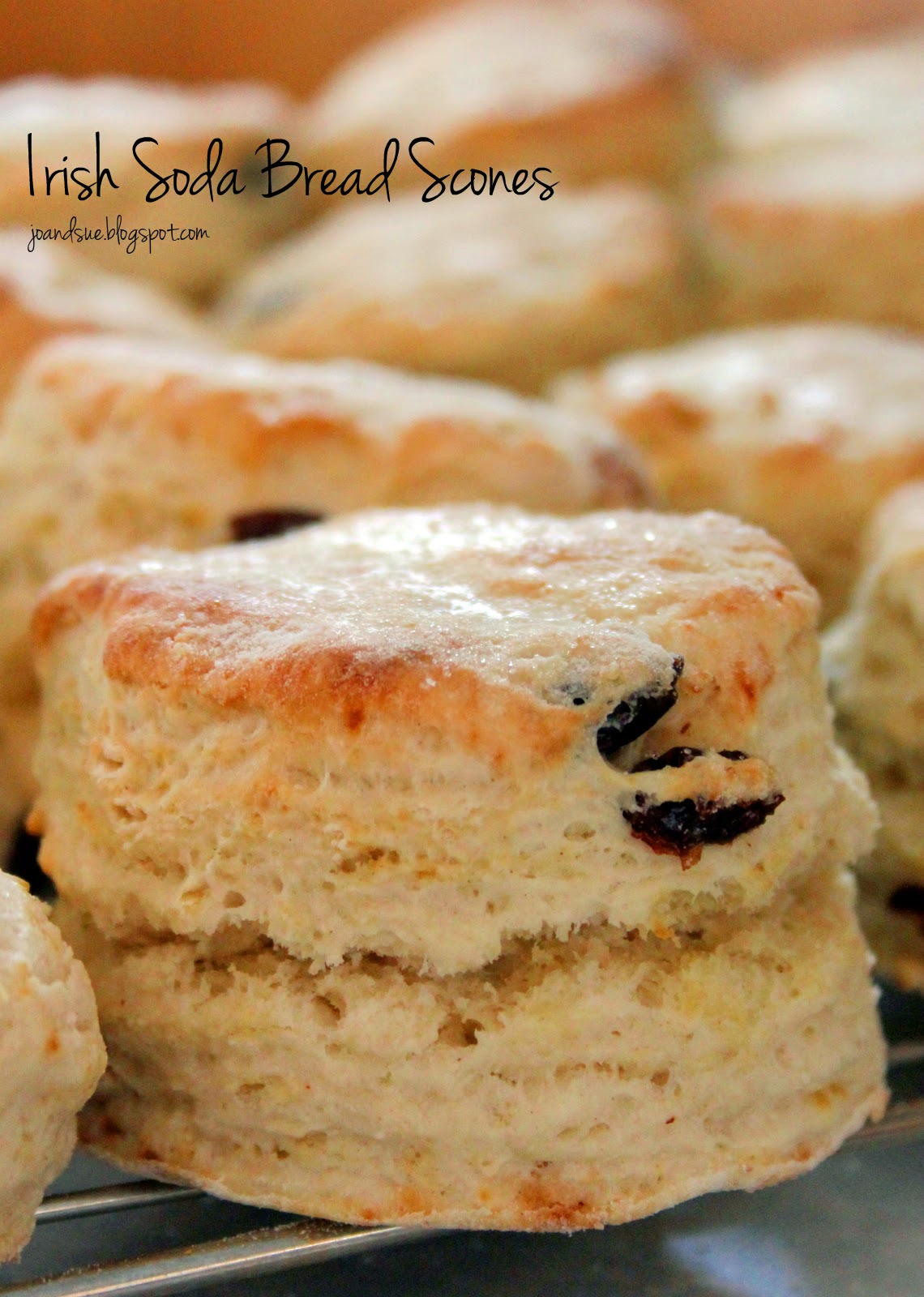 Jo and Sue Irish Soda Bread Scones With Honey Butter