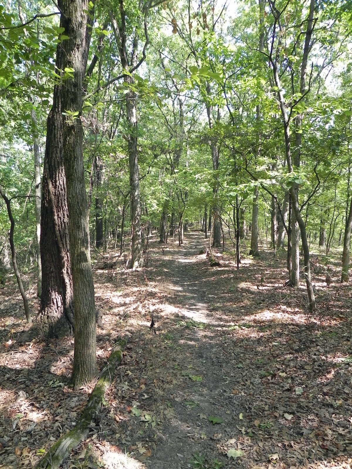 Turkey Ridge Trail, Rockwoods Reservation