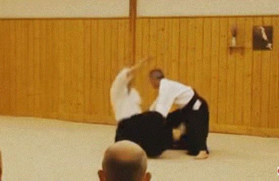 Sumi otoshi Katate Dori Nice Form-Aikido Technique 