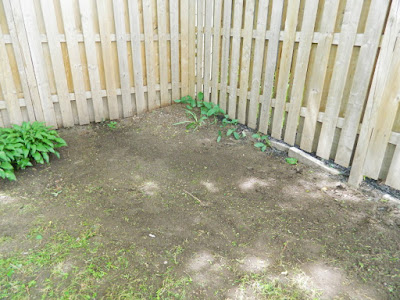 Beach Hill backyard cleanup after by Paul Jung Gardening Services Toronto Beach Hill backyard cleanup after by Paul Jung Gardening Services Toronto