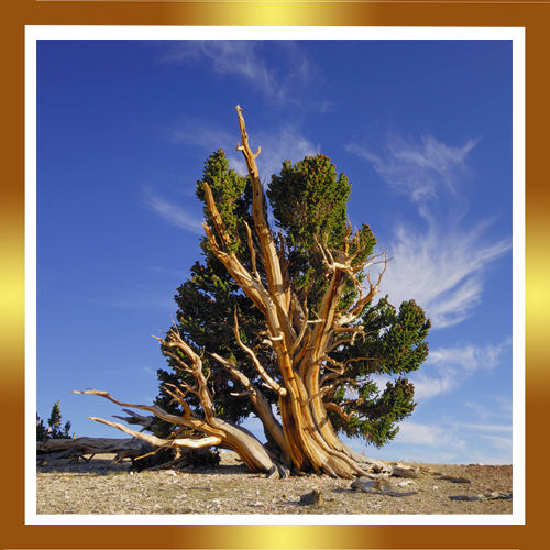 Смешной ежик. What is success. Росомаха и пиво в комиксах. Is not always easy being. Is not always easy being.