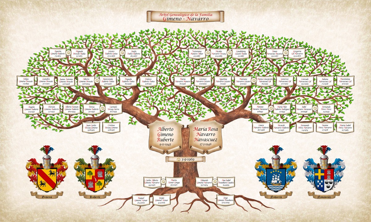 dibujo de arbol genealogico