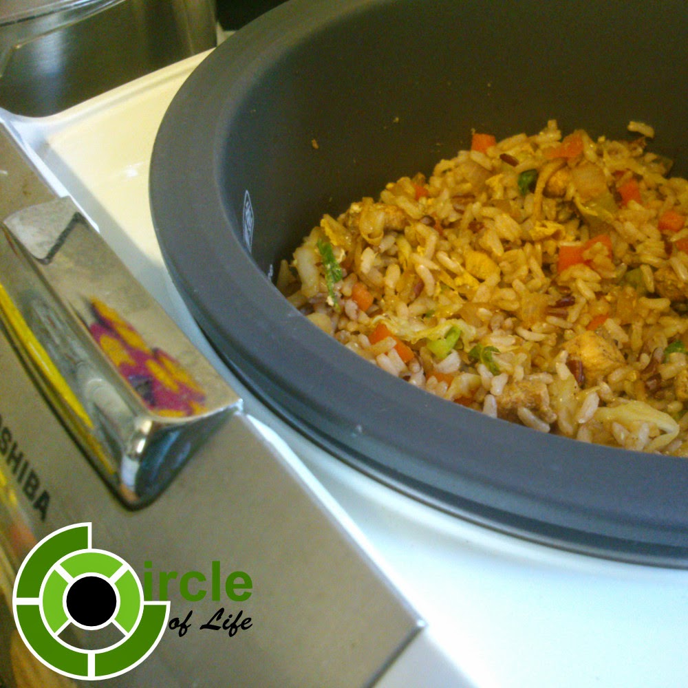 Circle of Life Rice Cooker Fried Rice