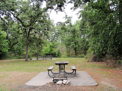 Picnic area at Memorial Park 