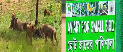 Images of Bangabandhu Safari Park Images of Bangabandhu Safari Park