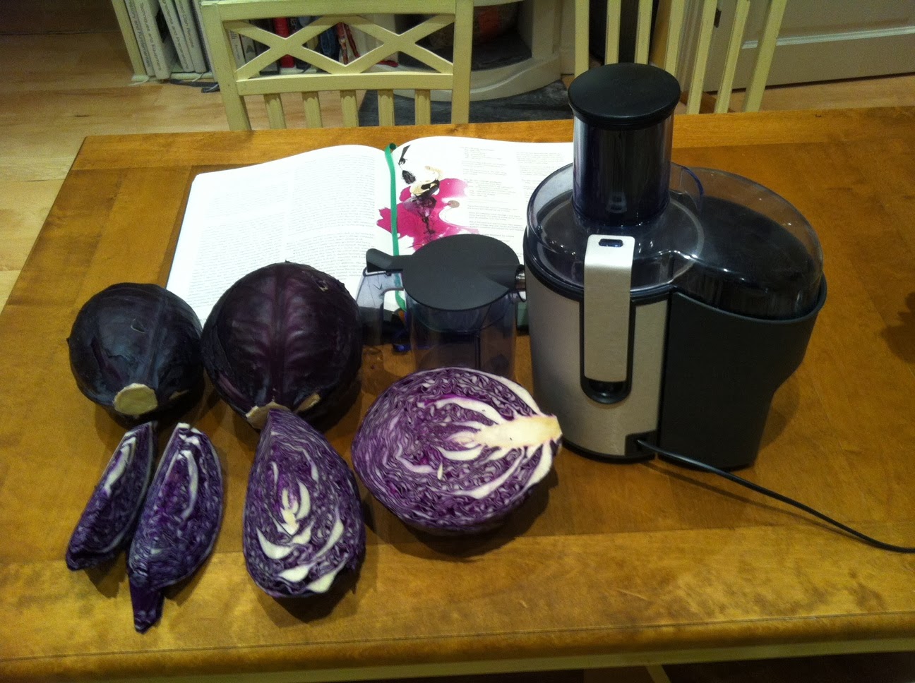 Morten goes Modernist Food from the Fat Duck Red Cabbage Gazpacho