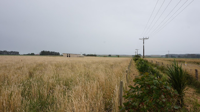 Life at Arbordale Farm