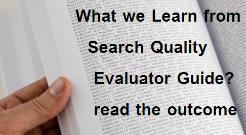 What we Learn from Search Quality Evaluator Guide? read the outcome