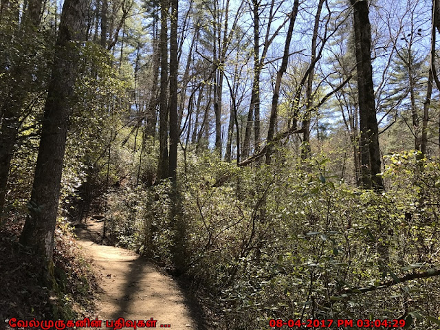 Minnehaha Falls Trail Georgia