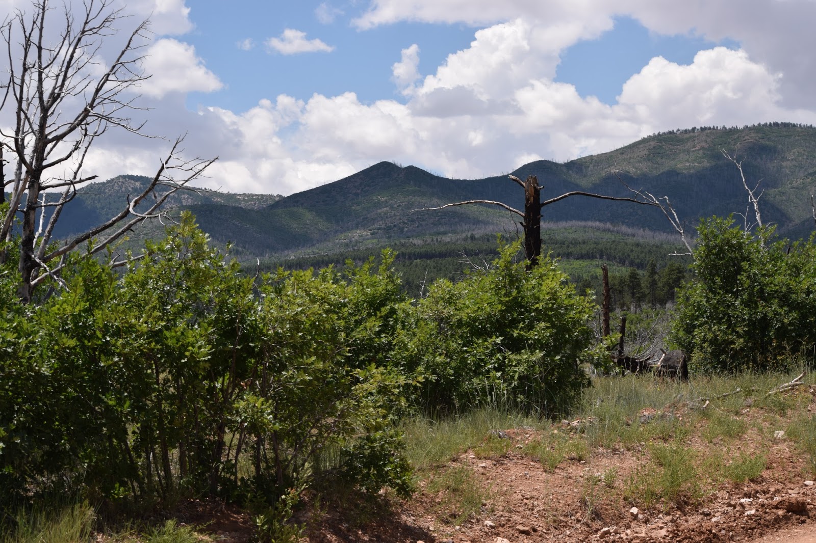 New Mexico Adventures More treasures at Manzano State Park