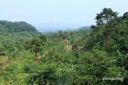 curug cadas ngampar bogor
