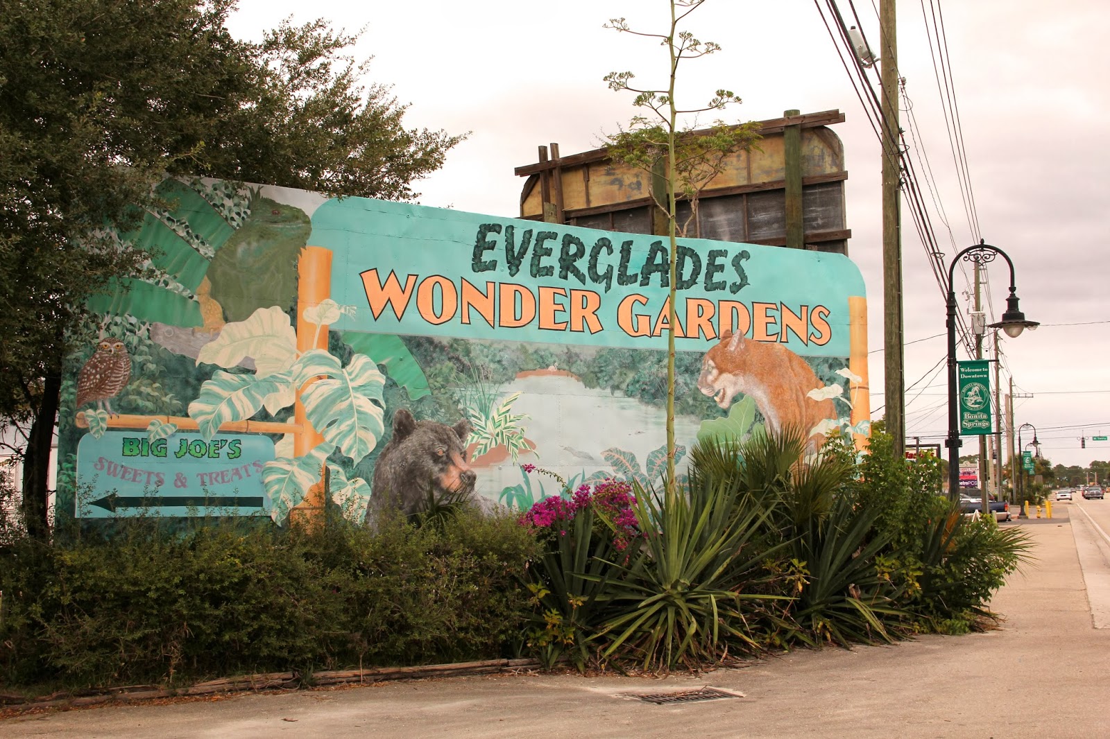 Southwest Daily Images Everglades Wonder Gardens