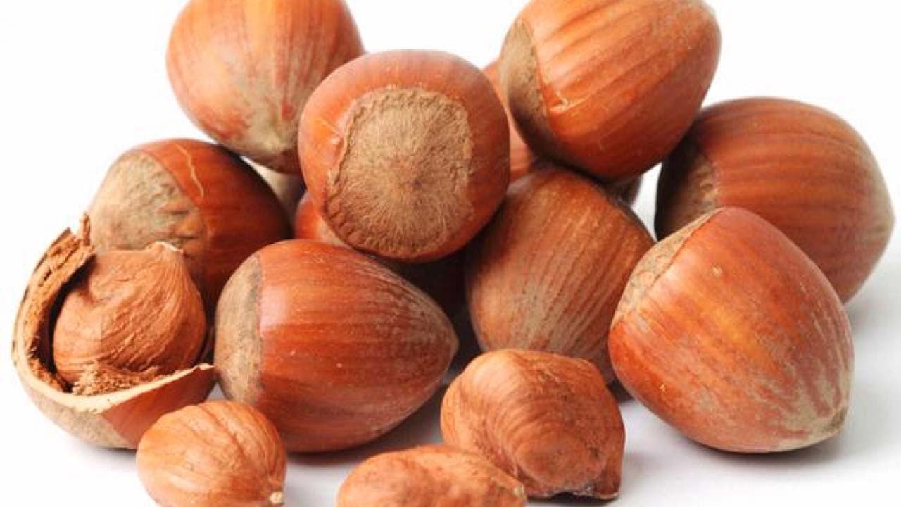 маленькие орехи. орех 5 6. орех 711q. мамей фрукт куба. орехи пекан и макадамия.