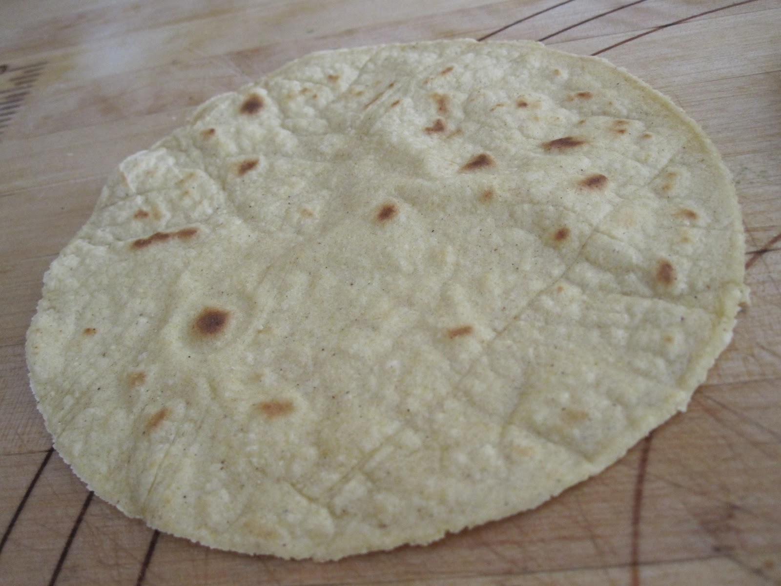 The Robinator's Foodventures Homemade Corn Tortillas (Soft Taco Shells)