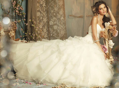 Wedding Dress Tips Wedding Dress Tips