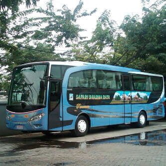 Petualangan Tanpa Batas: Menggali Potensi Bus Pariwisata Safari di Indonesia