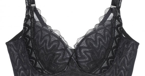 Buy Women's La Senza Lace Detail Padded Plunge Bra with Hook and Eye  Closure Online