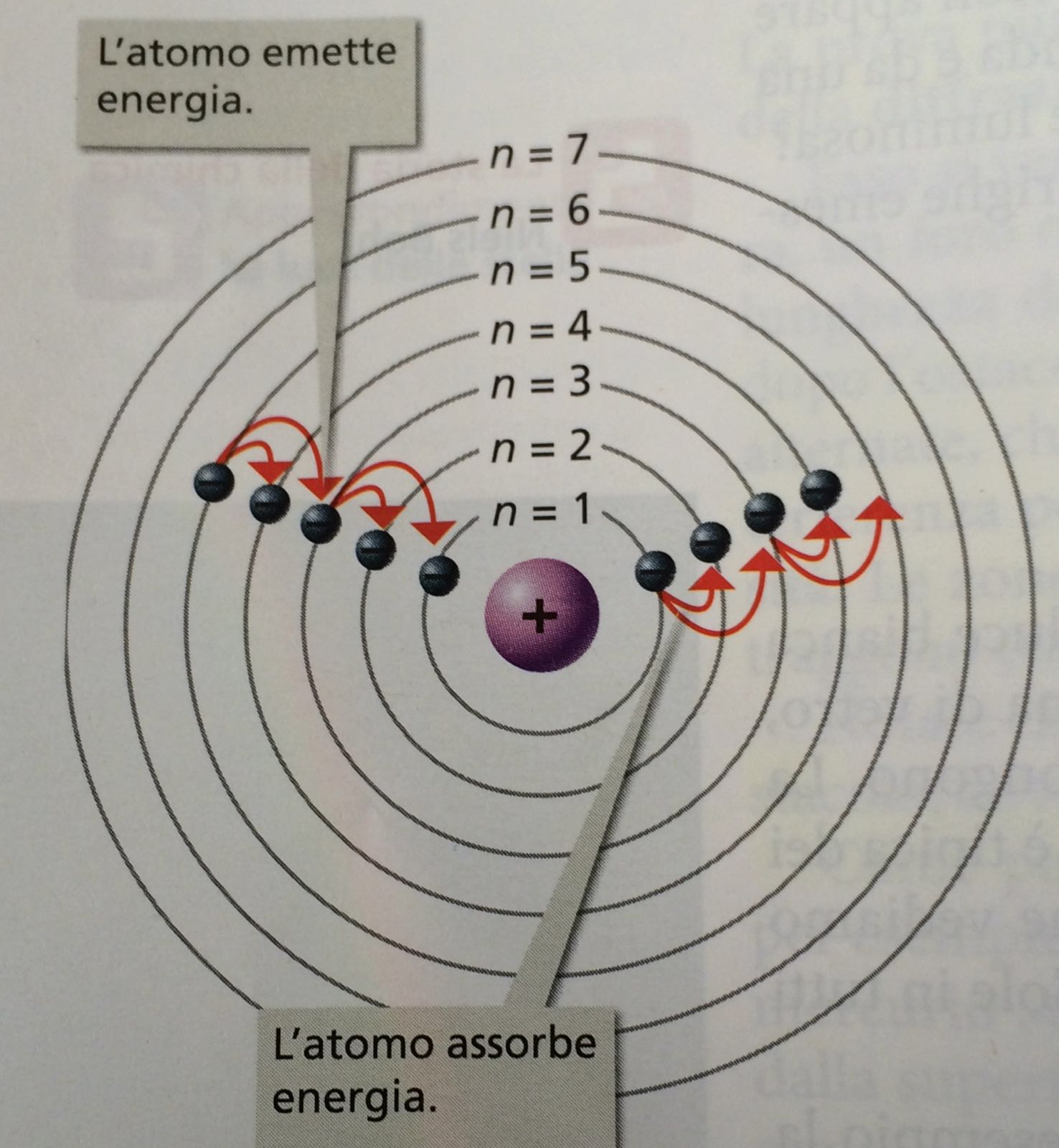 La struttura dell'atomo La struttura dell'atomo