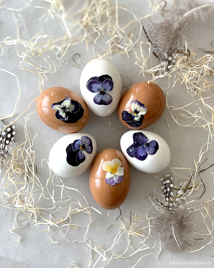 Mit Baby Und Kleinkind In Die Usa Unsere Erfahrungen Und Plane