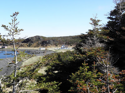 View of Tickle Inn at Cape Onion, from Treena's Trail