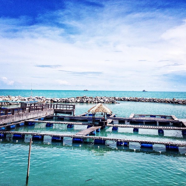 Tukik-Tukik Lucu di Pantai Tongaci ~ SOMETIMES, QUITE IS BETTER