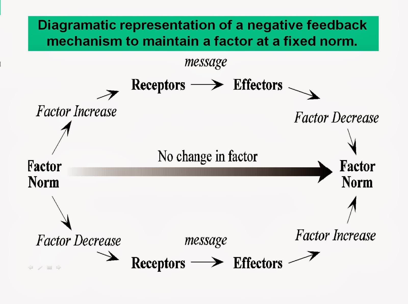 FQAH0113: Principle of homeostasis