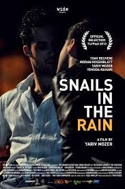 Snails in the rain, 2013