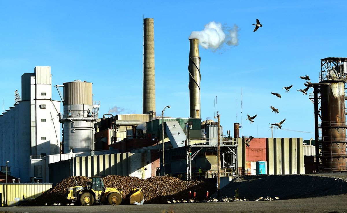 MEC&F Expert Engineers : OSHA fines Western Sugar Cooperative and the