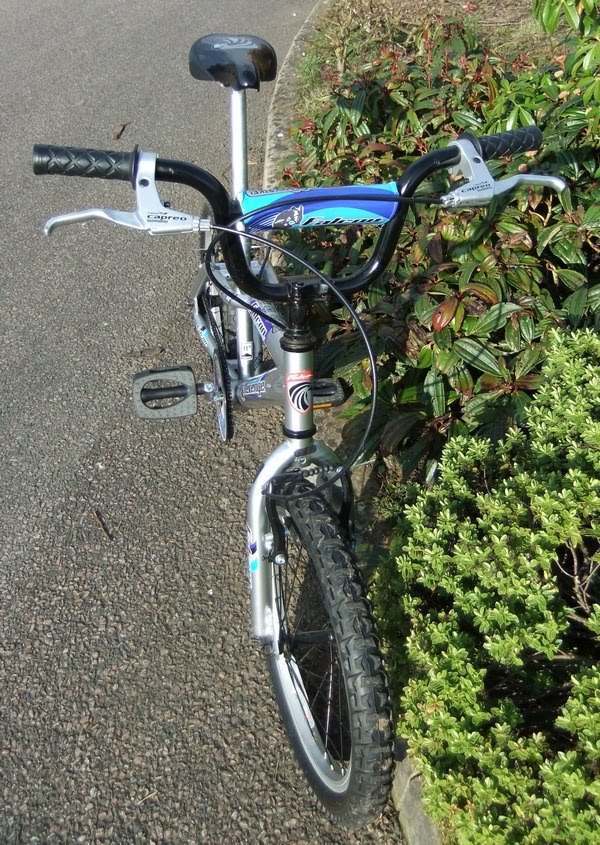 falcon zombie bike