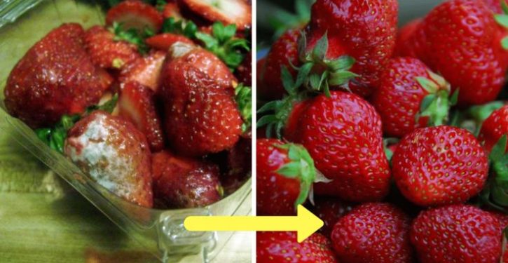 Farmers Reveal The Trick That Keeps Strawberries Very Long