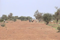 Niger-golf