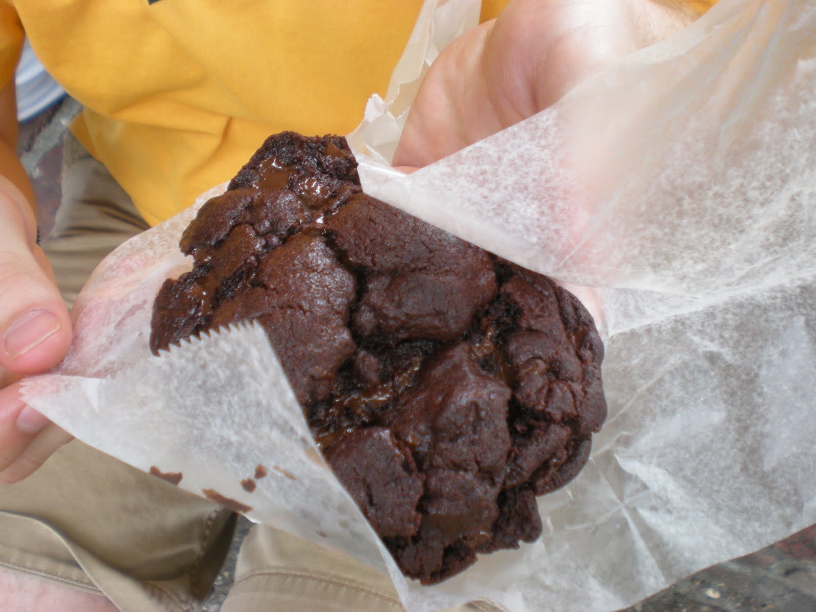 Gray's Papaya Hot Diggity Dogs and Papaya Juice!